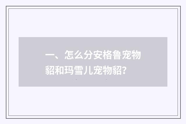 一、怎么分安格鲁宠物貂和玛雪儿宠物貂？