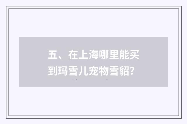 五、在上海哪里能买到玛雪儿宠物雪貂?