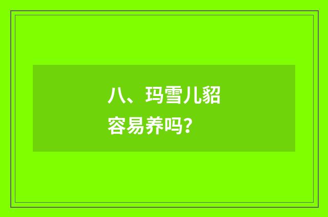 八、玛雪儿貂容易养吗?