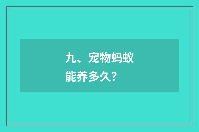 九、宠物蚂蚁能养多久?