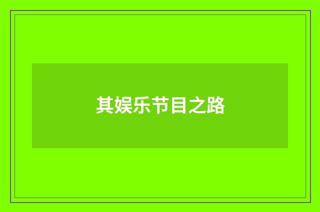 其娱乐节目之路