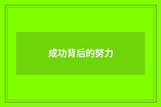 成功背后的努力