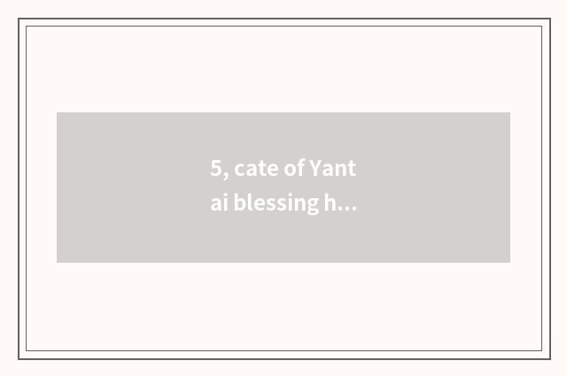 5, cate of Yantai blessing hill?