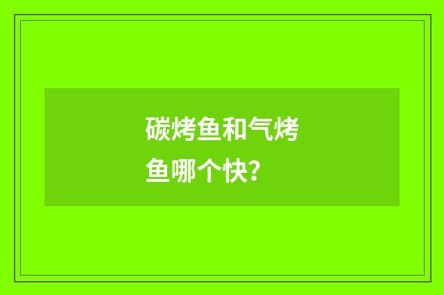 碳烤鱼和气烤鱼哪个快？