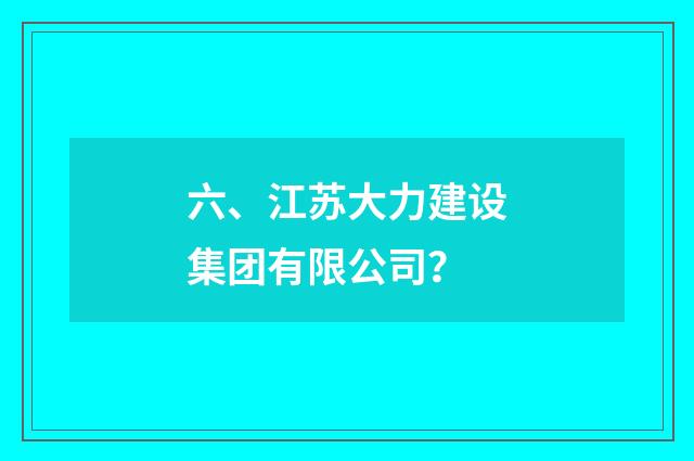 六、江苏大力建设集团有限公司?