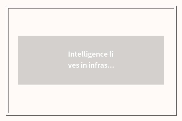 Intelligence lives in infrastructure
