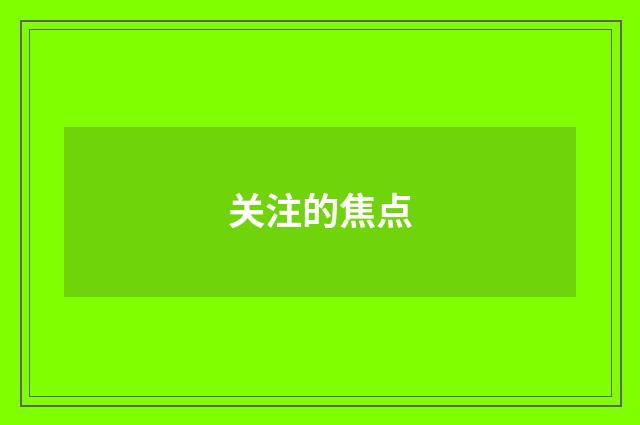 关注的焦点
