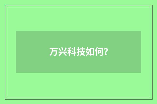 万兴科技如何？