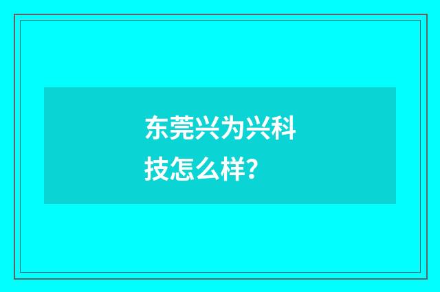 东莞兴为兴科技怎么样?