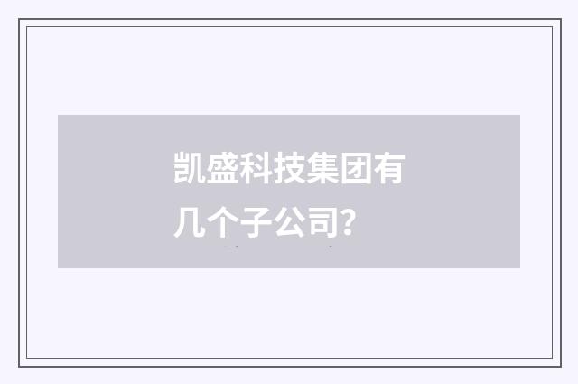 凯盛科技集团有几个子公司？