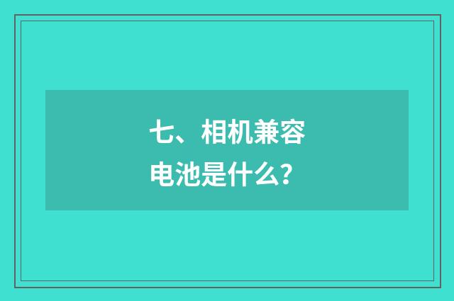 七、相机兼容电池是什么？