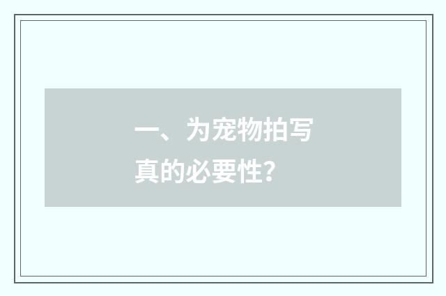 一、为宠物拍写真的必要性？