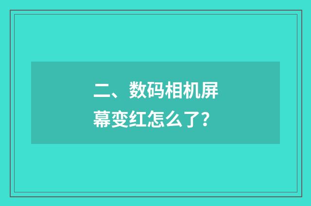 二、数码相机屏幕变红怎么了?