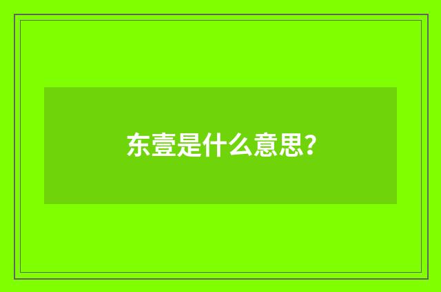 东壹是什么意思?
