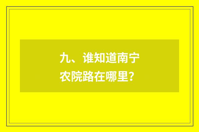 九、谁知道南宁农院路在哪里？