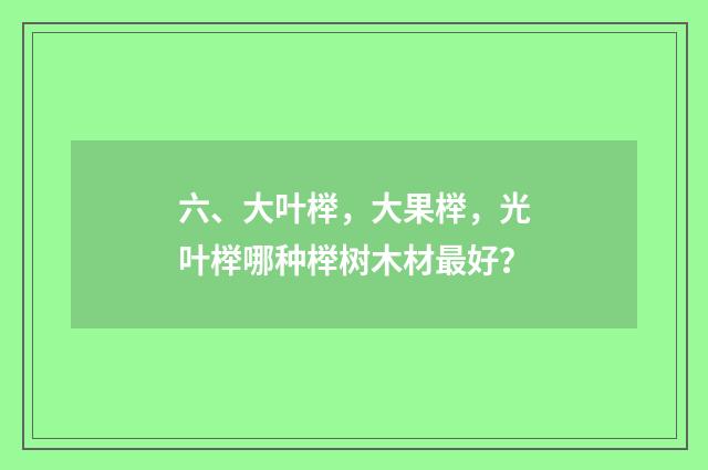 六、大叶榉，大果榉，光叶榉哪种榉树木材最好？