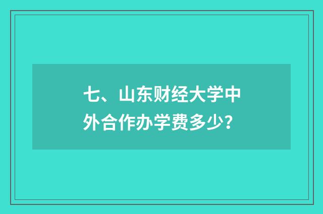 七、山东财经大学中外合作办学费多少?