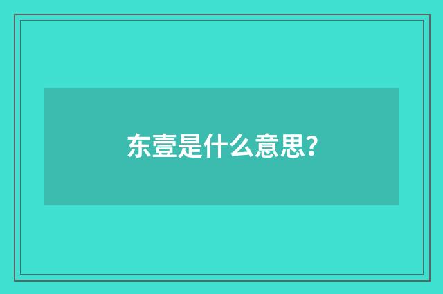 东壹是什么意思?