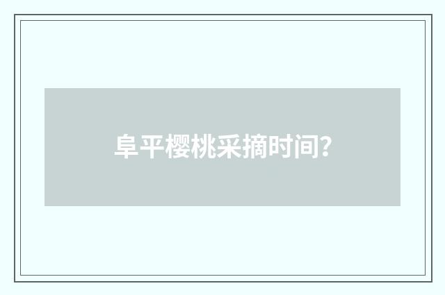 阜平樱桃采摘时间？