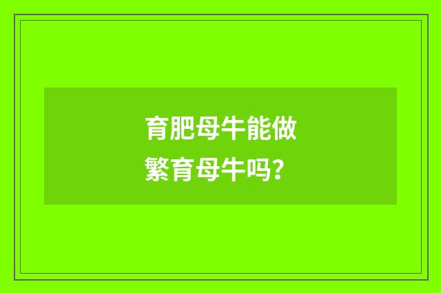 育肥母牛能做繁育母牛吗?