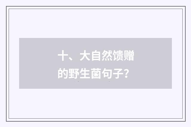 十、大自然馈赠的野生菌句子?