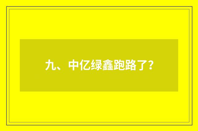 九、中亿绿鑫跑路了？