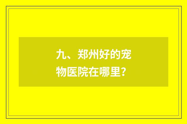 九、郑州好的宠物医院在哪里？