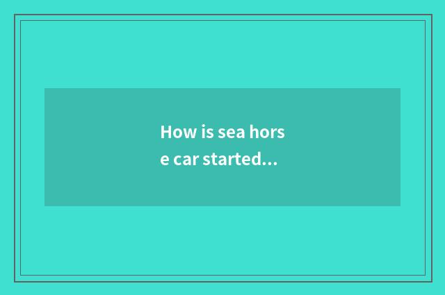 How is sea horse car started?