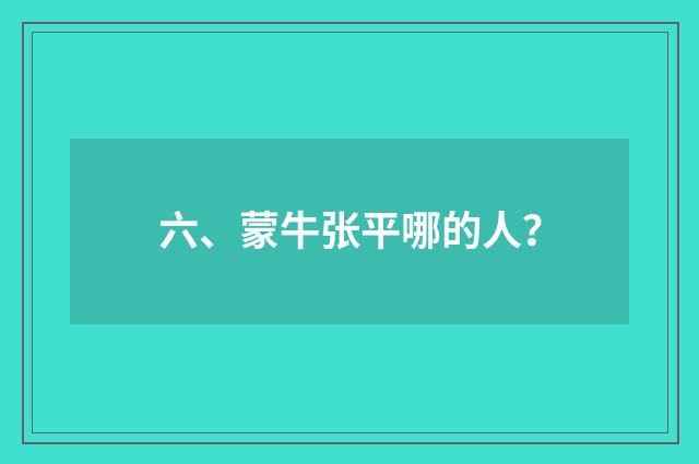 六、蒙牛张平哪的人？