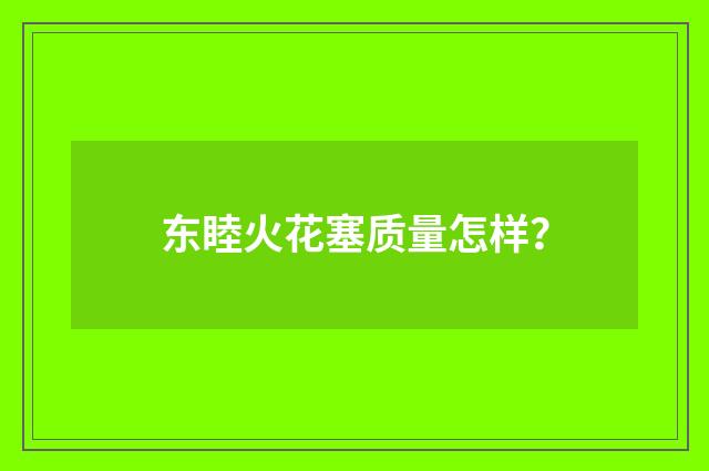 东睦火花塞质量怎样？