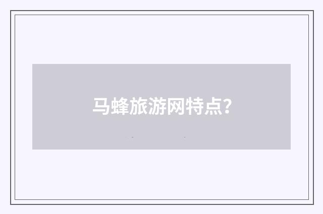 马蜂旅游网特点?