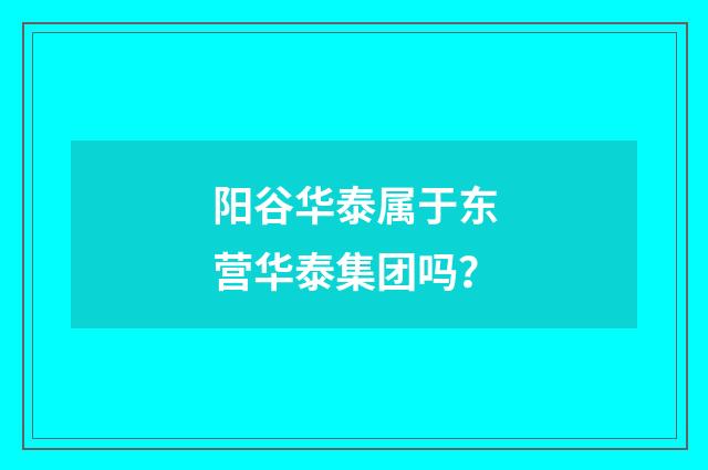 阳谷华泰属于东营华泰集团吗？