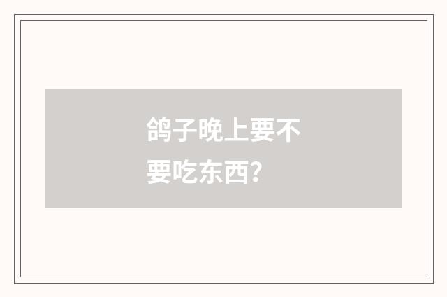 鸽子晚上要不要吃东西？