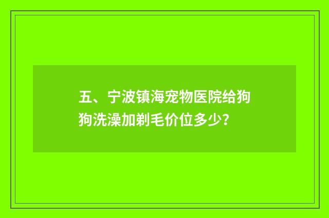五、宁波镇海宠物医院给狗狗洗澡加剃毛价位多少?