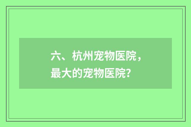 六、杭州宠物医院，最大的宠物医院？