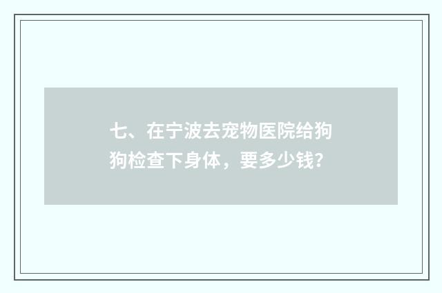 七、在宁波去宠物医院给狗狗检查下身体,要多少钱?