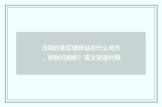 沈阳的索尼维修站在什么地方，修数码相机？英文双语对照