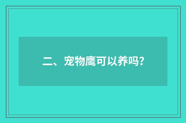 二、宠物鹰可以养吗？