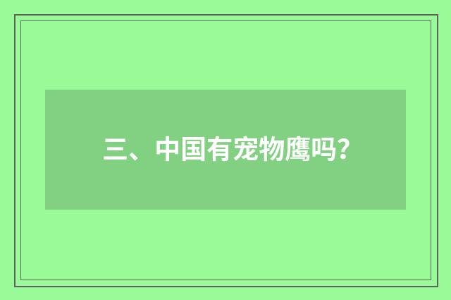 三、中国有宠物鹰吗？