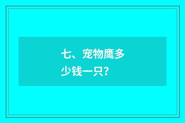 七、宠物鹰多少钱一只?
