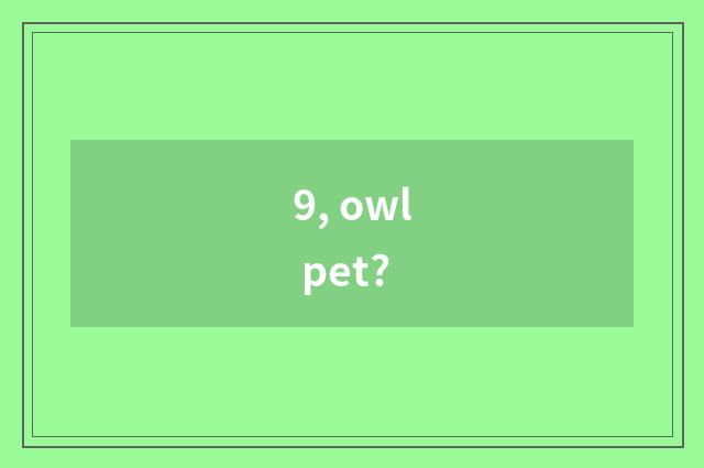 9, owl pet?