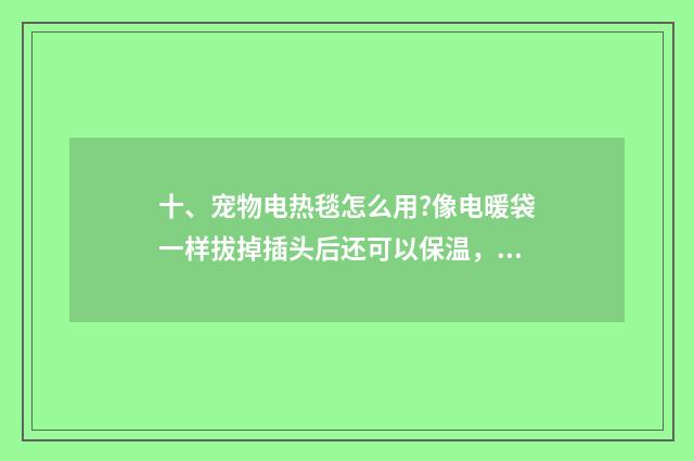 十、宠物电热毯怎么用?像电暖袋一样拔掉插头后还可以保温,还是要一整夜地插着插头呢?
