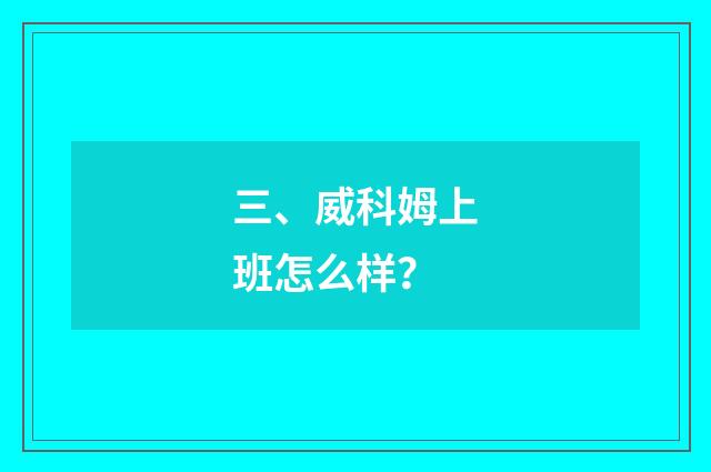 三、威科姆上班怎么样?