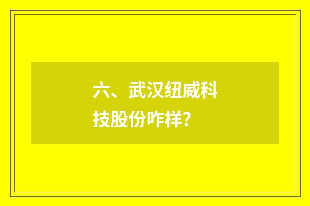 六、武汉纽威科技股份咋样？