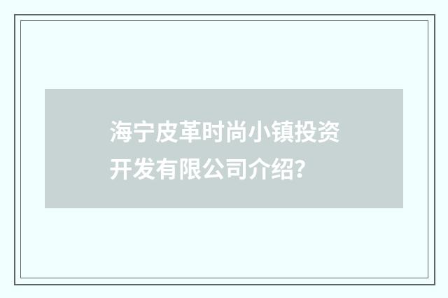 海宁皮革时尚小镇投资开发有限公司介绍？