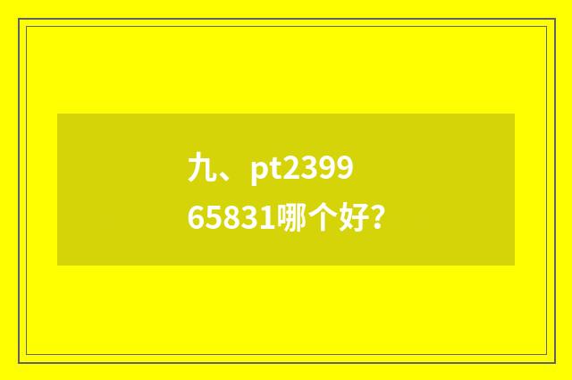 九、pt2399 65831哪个好?