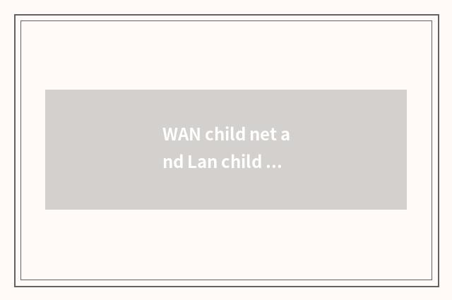 WAN child net and Lan child net conflict?