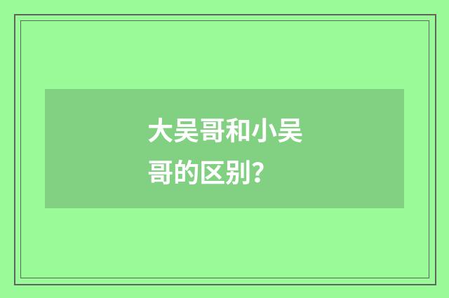 大吴哥和小吴哥的区别？