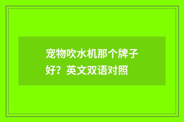 宠物吹水机那个牌子好？英文双语对照