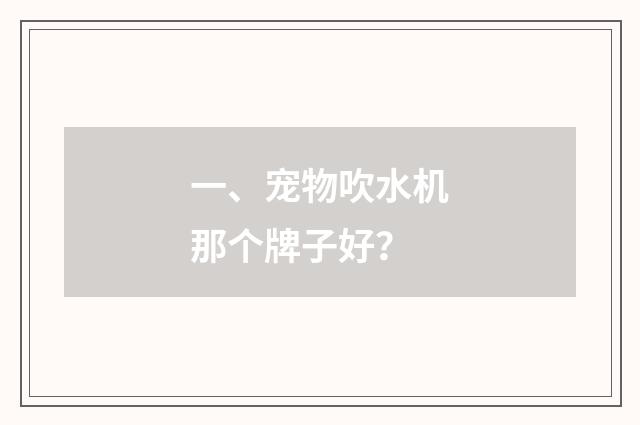 一、宠物吹水机那个牌子好?